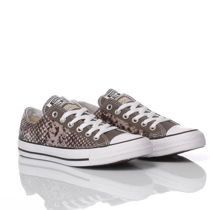 Converse Ox Snake Grey