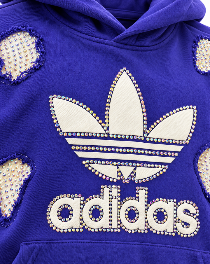 Hoodie Adidas Hole Purple Sw